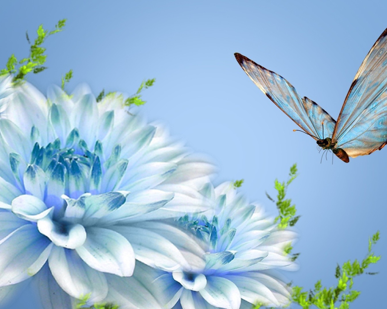 Бабочка над голубым цветком