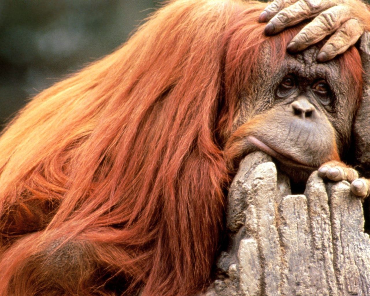 Что то я сегодня плохо выгляжу