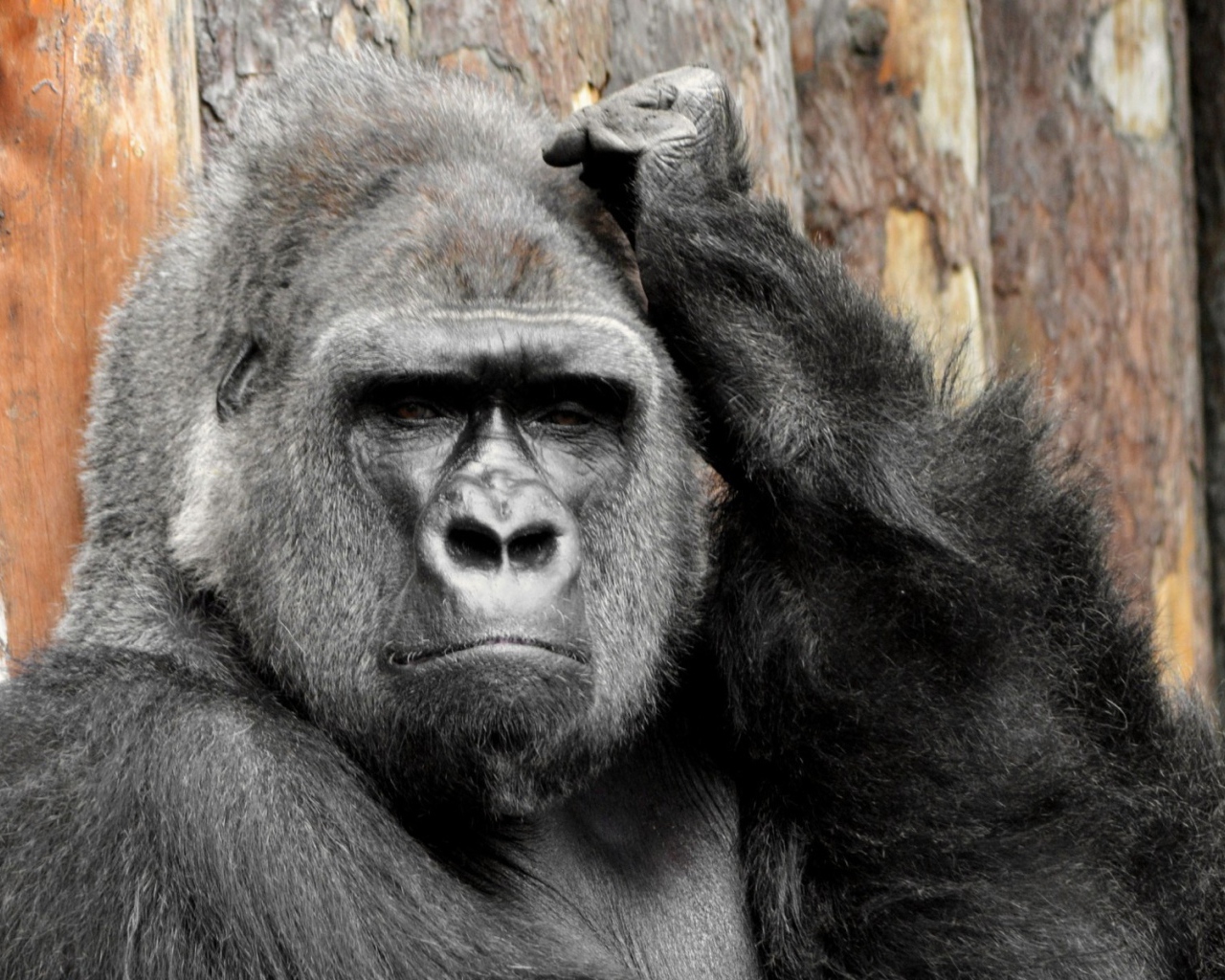 Тут надо подумать