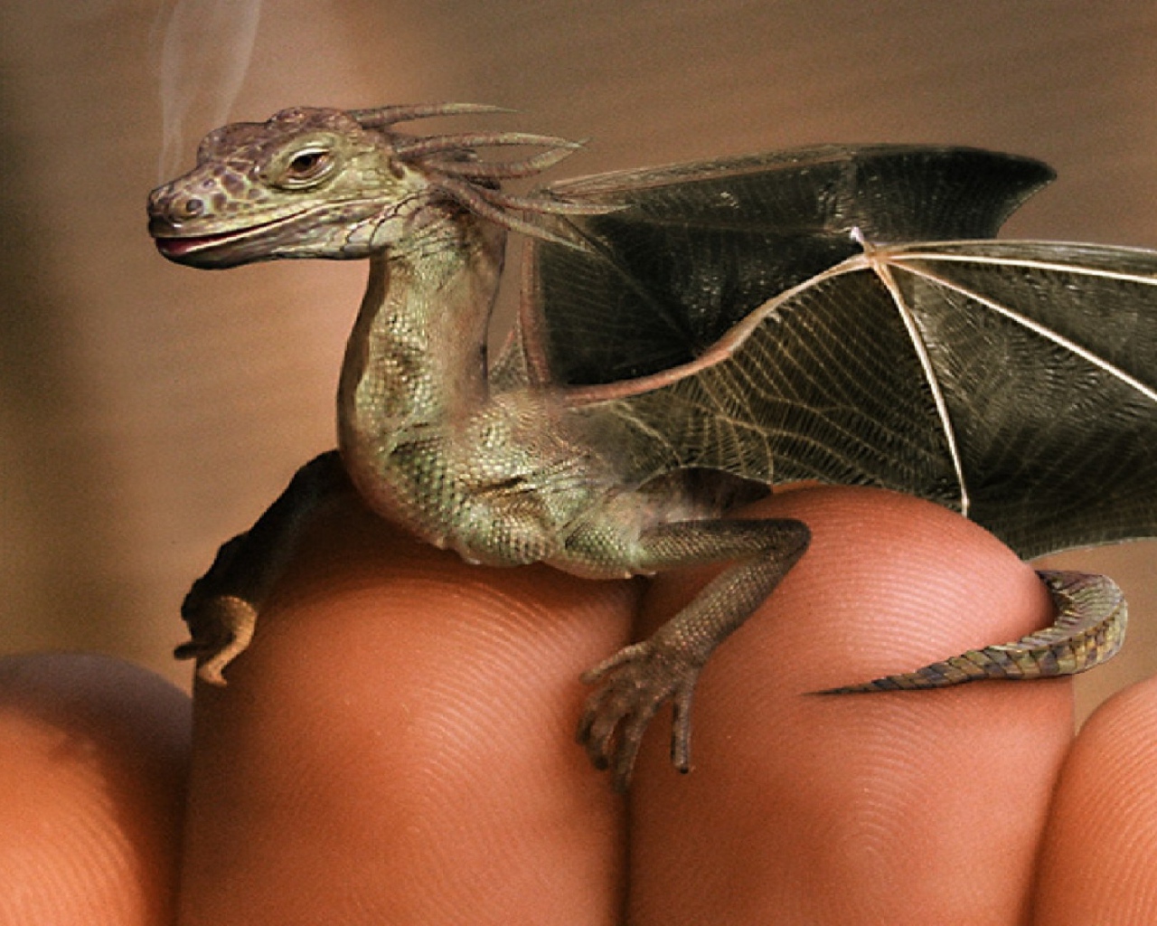 Дракон на пальцах