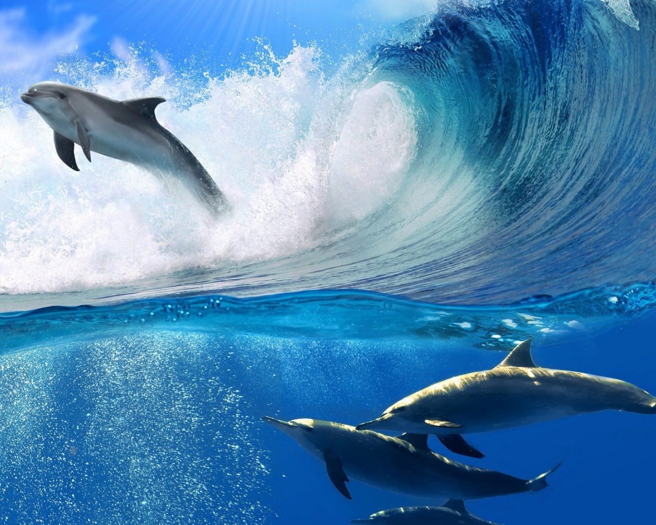 Дельфин в прыжке