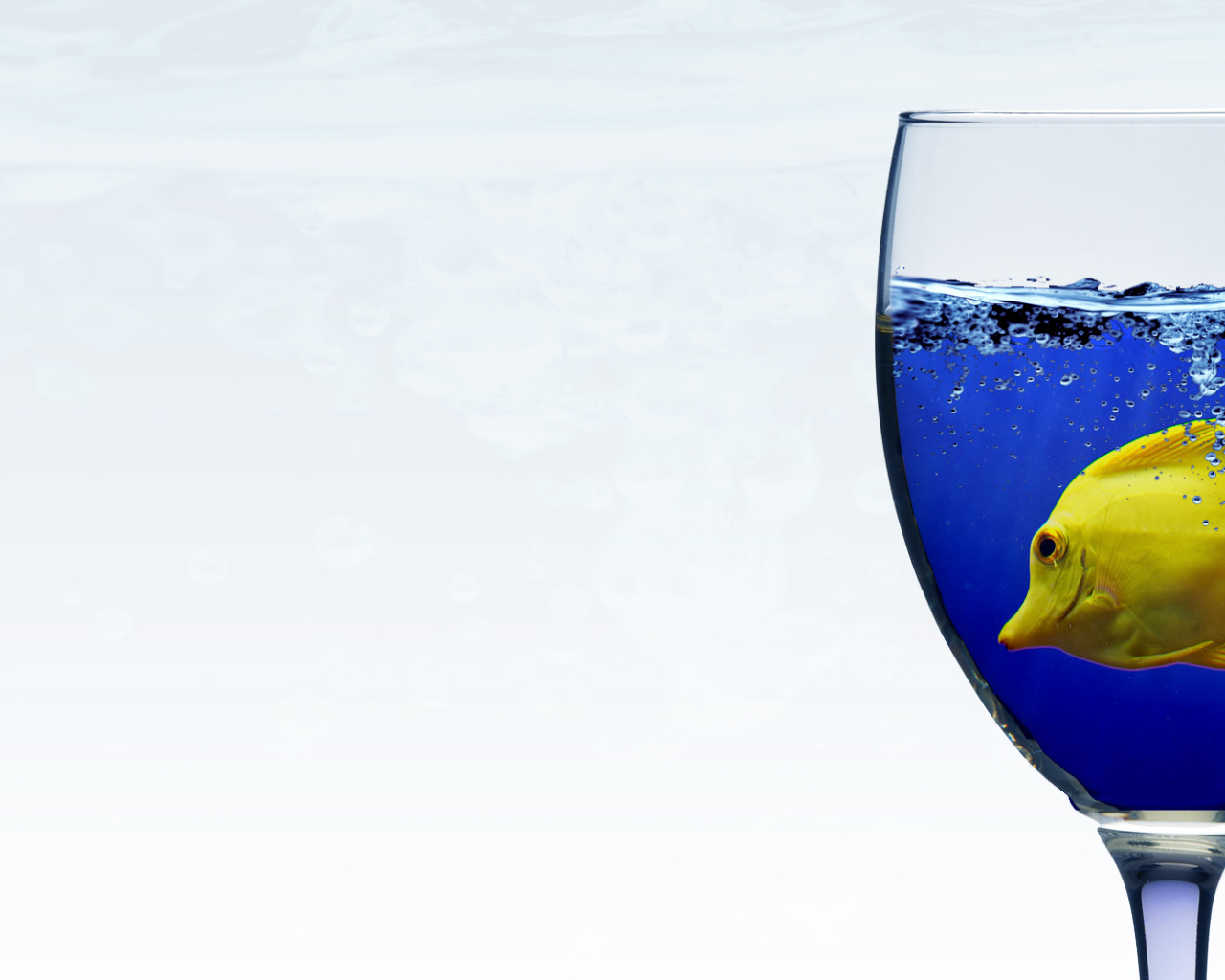 Рыба в бокале