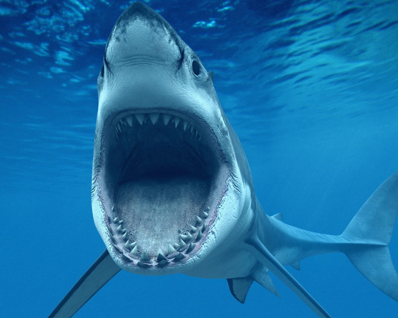 Зубастая Пасть акулы