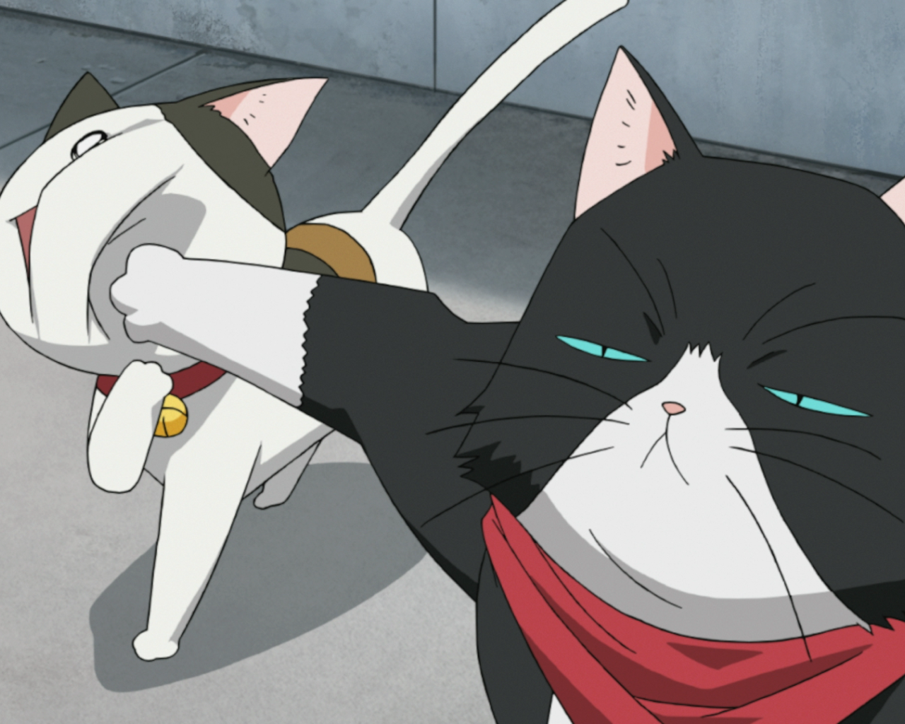 Кошачьи прихоти