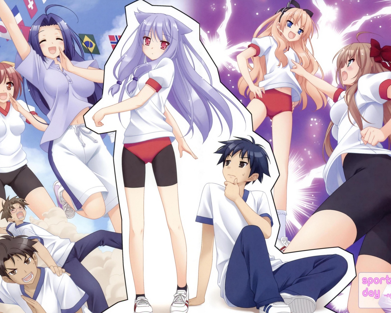 Нашествие бродячих кошек!