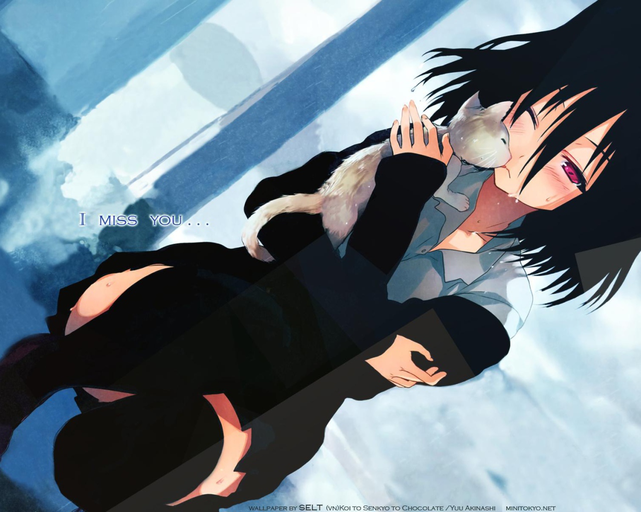 Любовь, выборы и шоколад