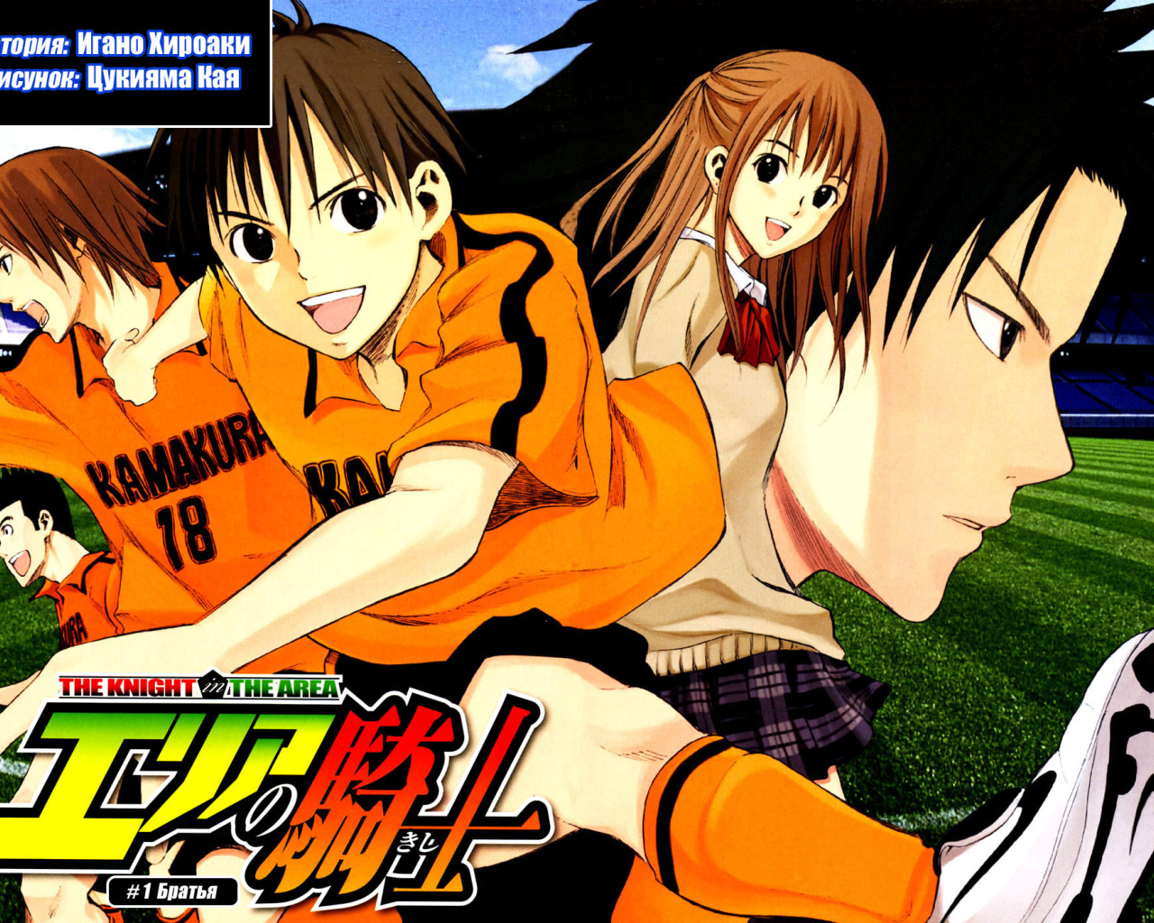 Паладин на поле