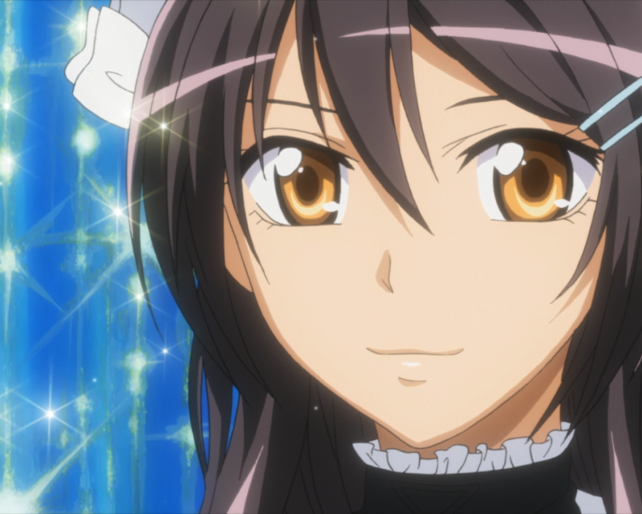 Президент учсовета - горничная!