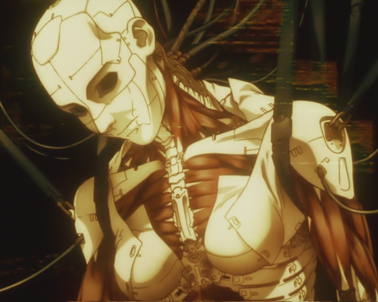 Аниматрица