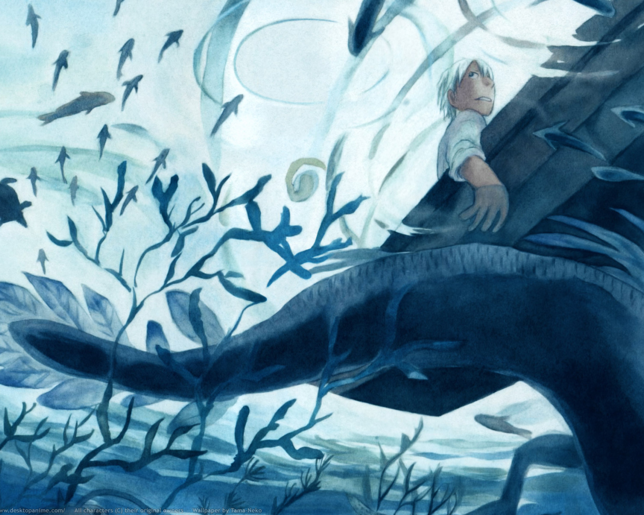 Мастер Муси