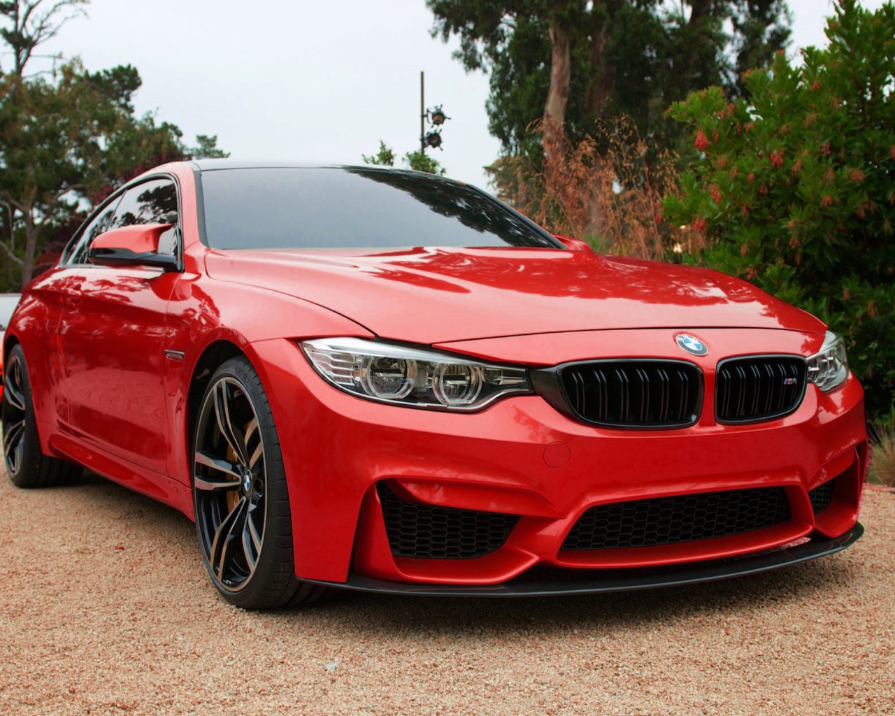 Красный BMW M4 на вечеринке