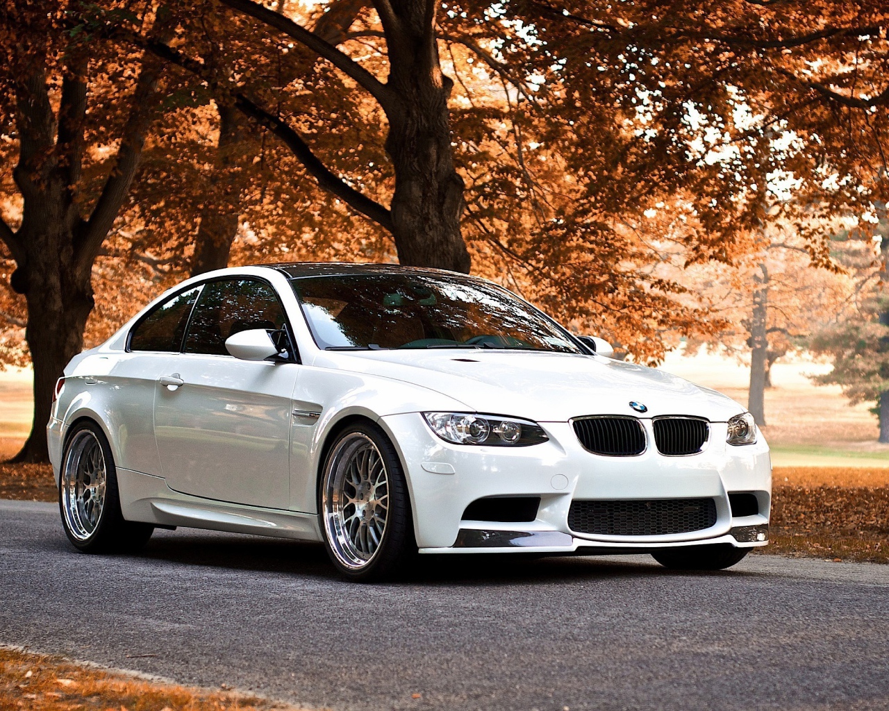 Белый BMW В осеннем парке