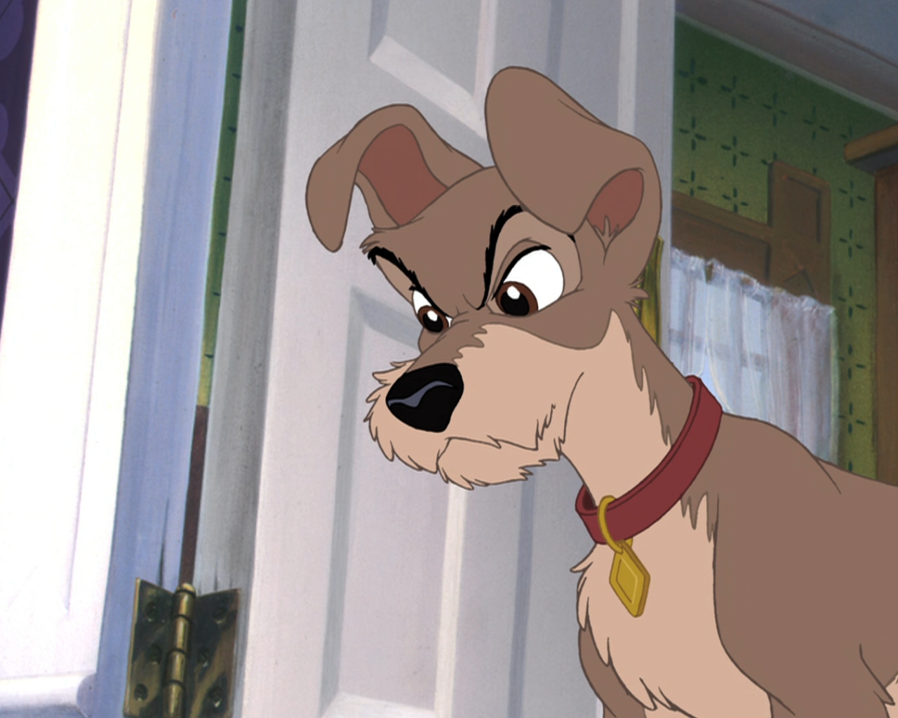 Приключения большого Джеффа