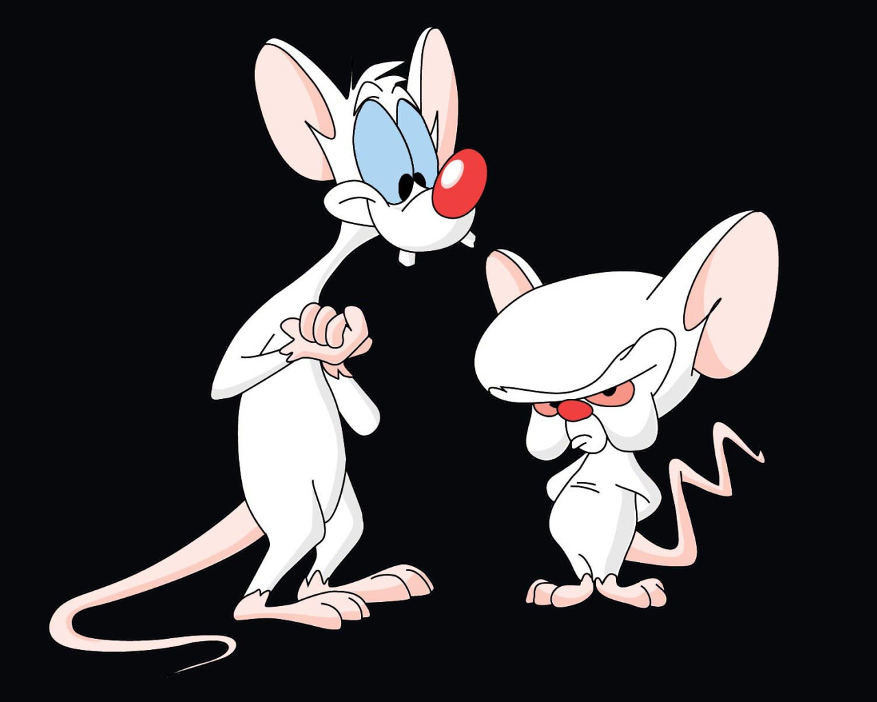 Пинки и Брейн