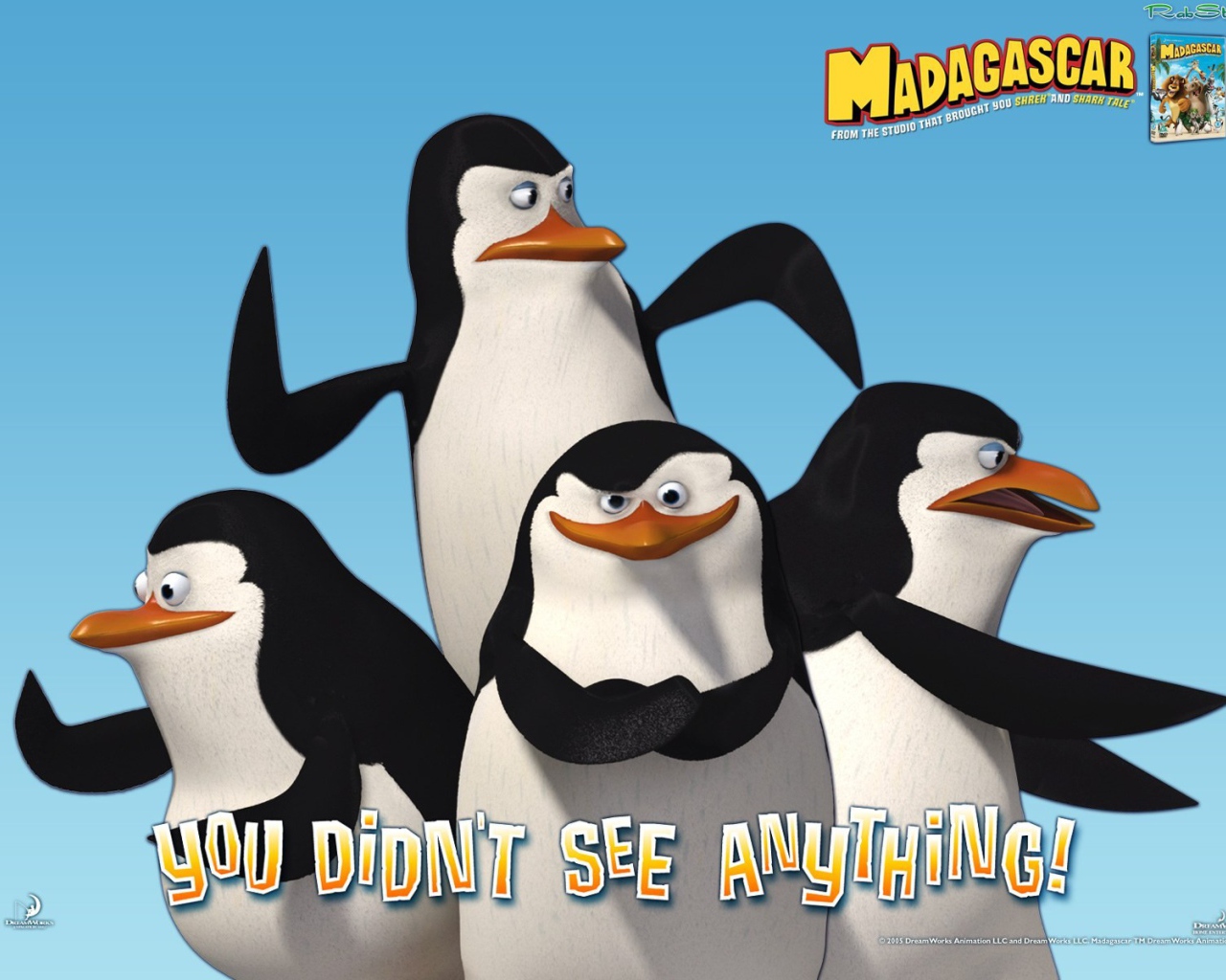 Пингвины из Мадагаскара