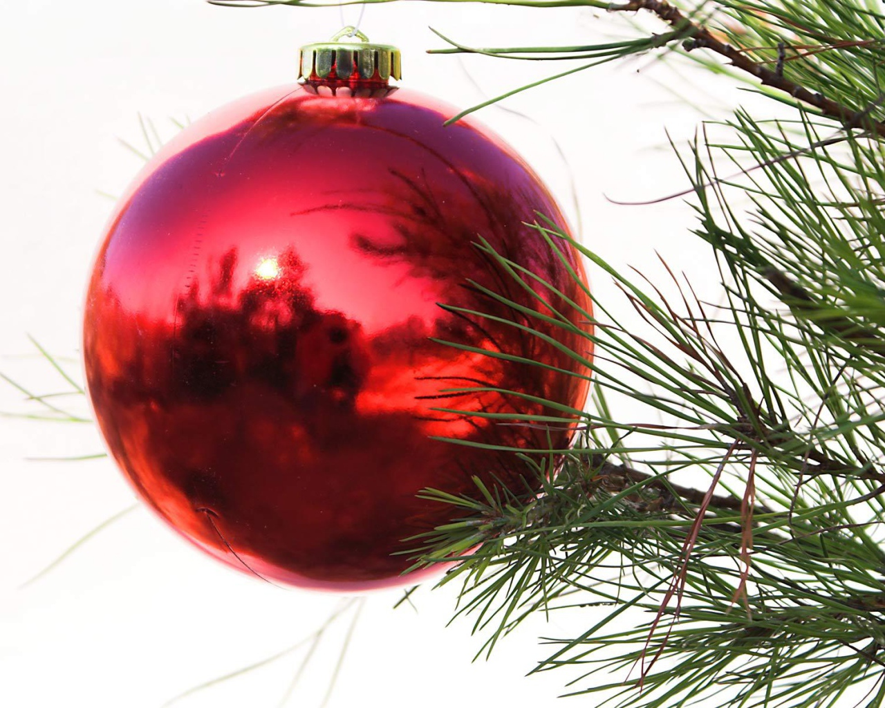 Красный шар на ёлке на рождество