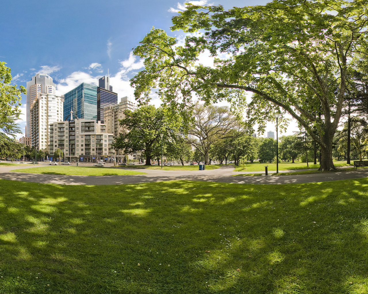 Городской парк летом