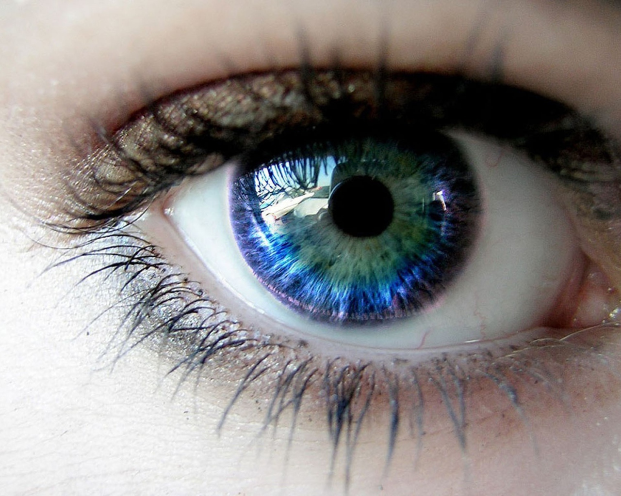 Голубой глаз с отражением