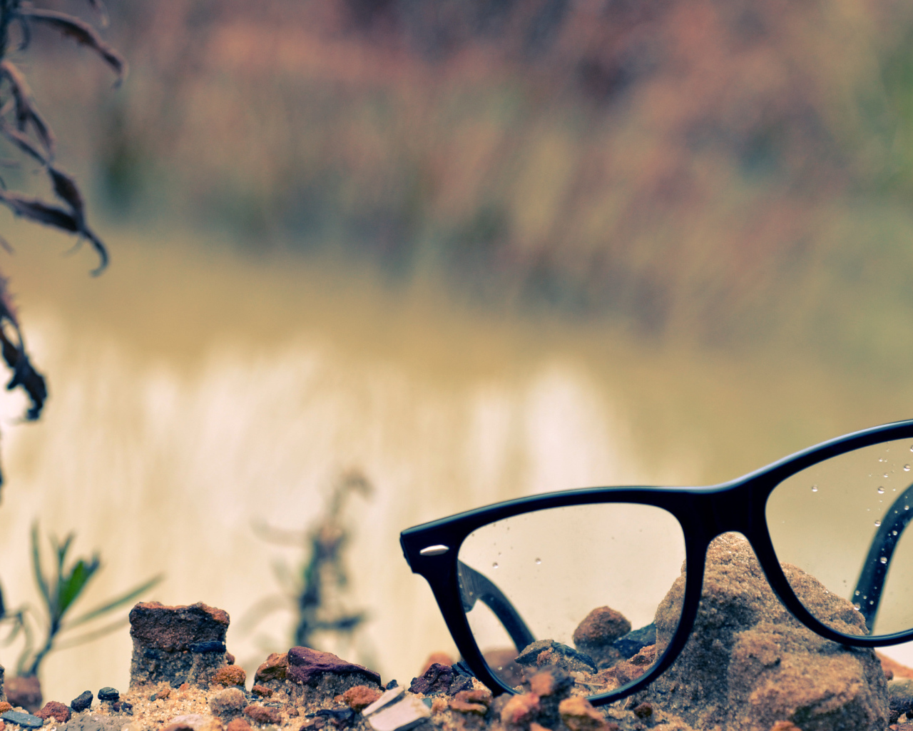 Очки лежат на камне