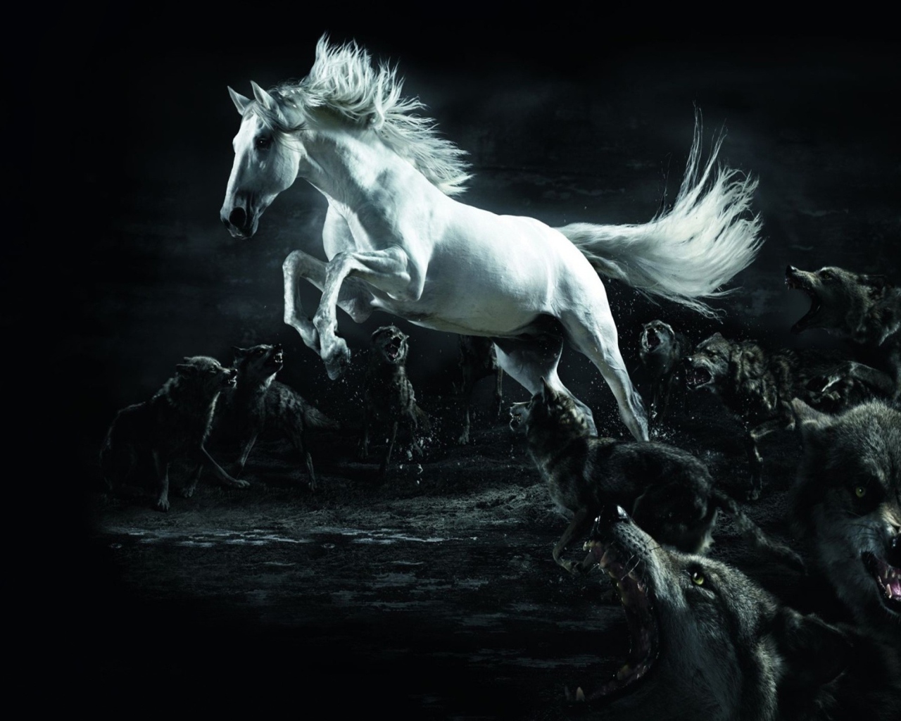 Тема лошади