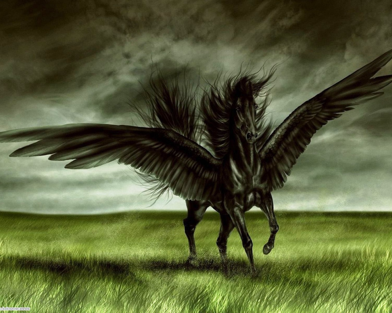 Лошадь пегас