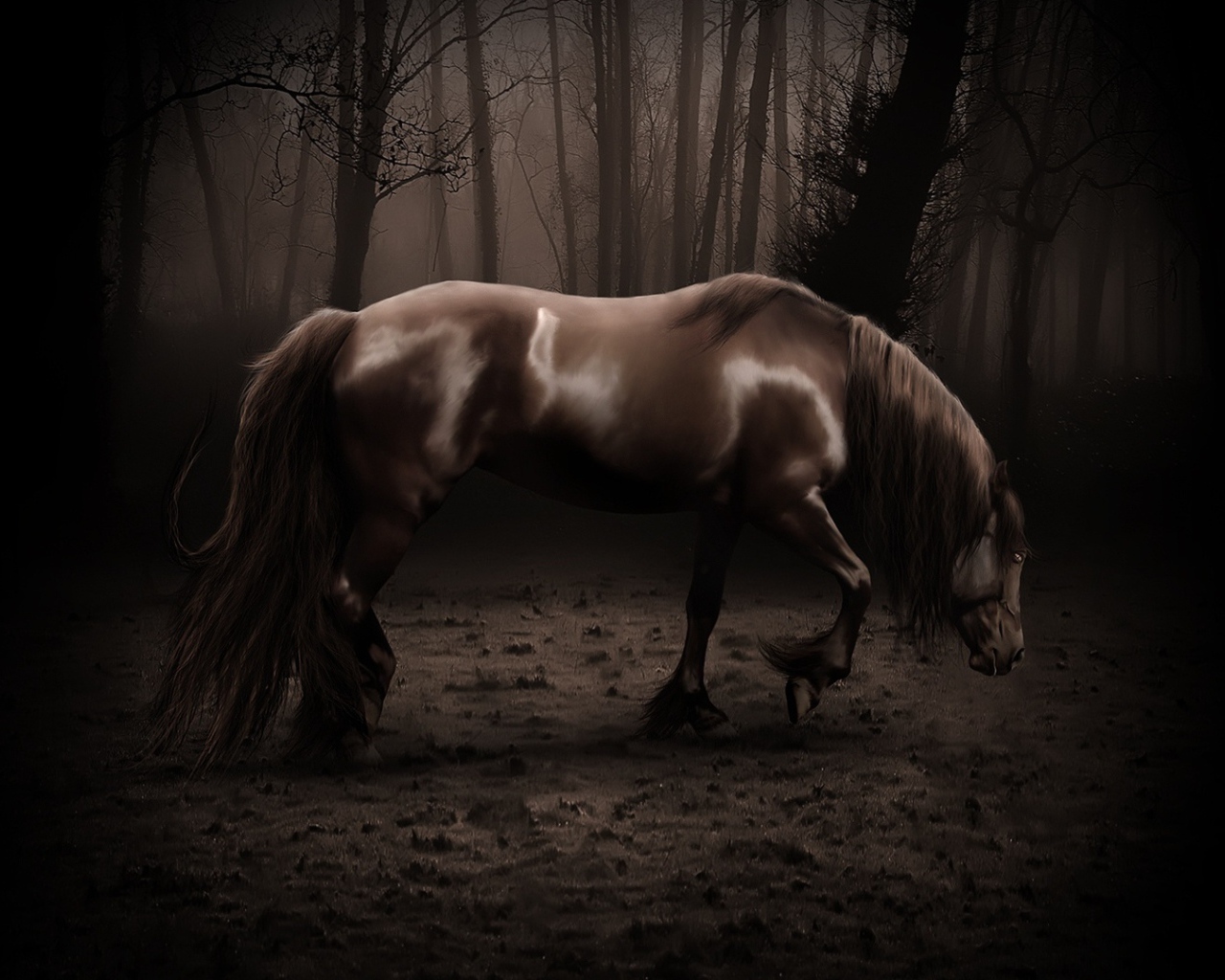 Старая лошадь