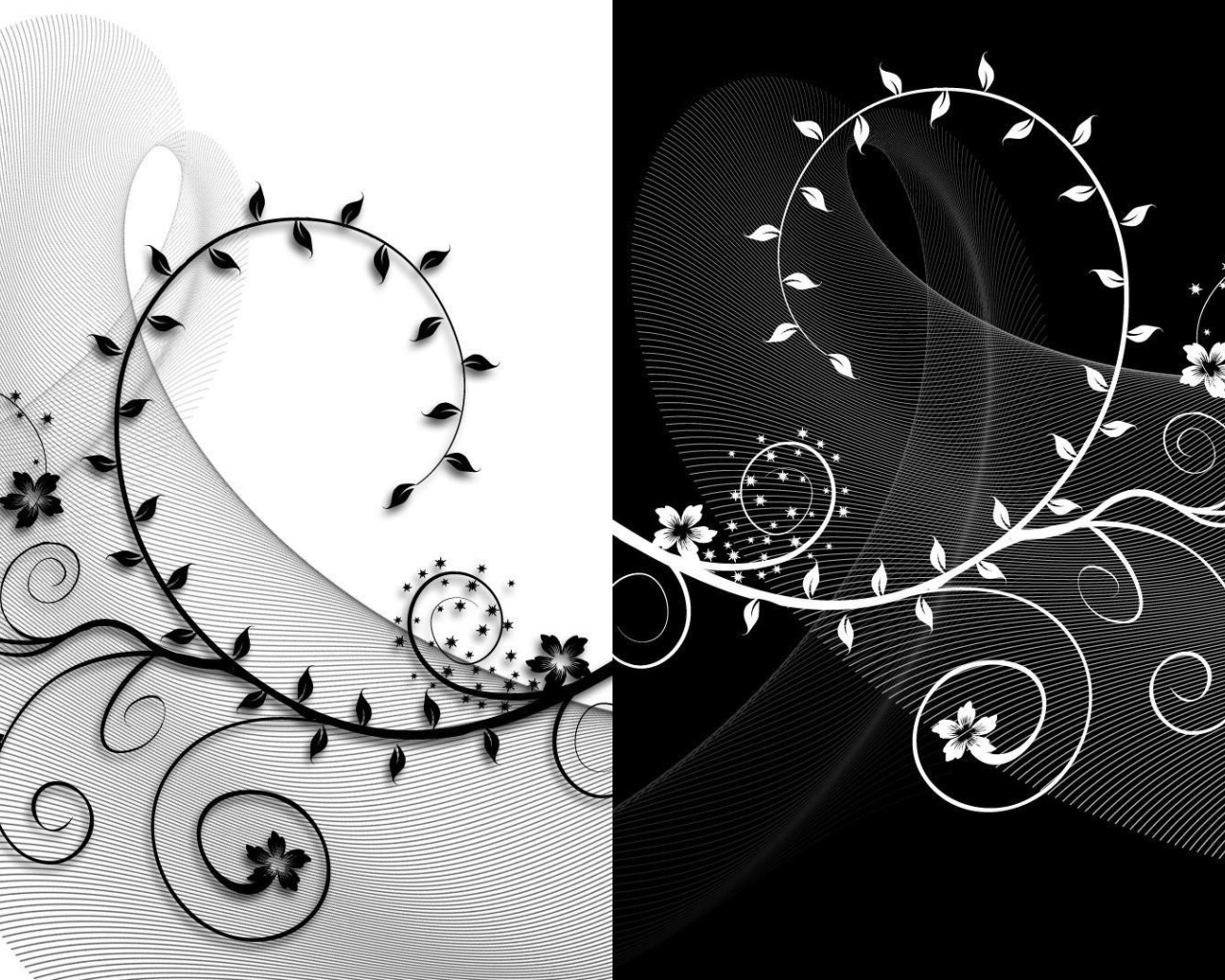 Черно белый рисунок