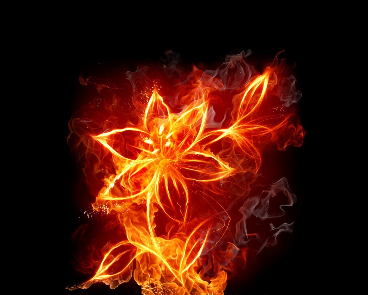 Фантазия Огненный цветок