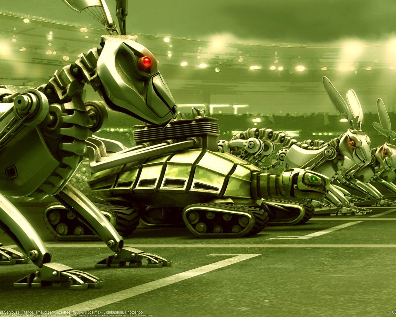 Гонка с черепахой