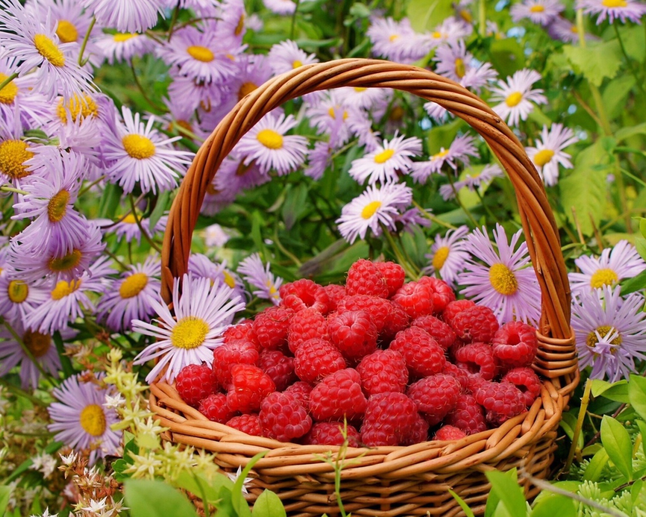 Малина в корзине