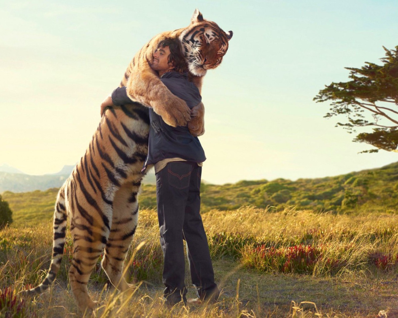 Друзья навеки