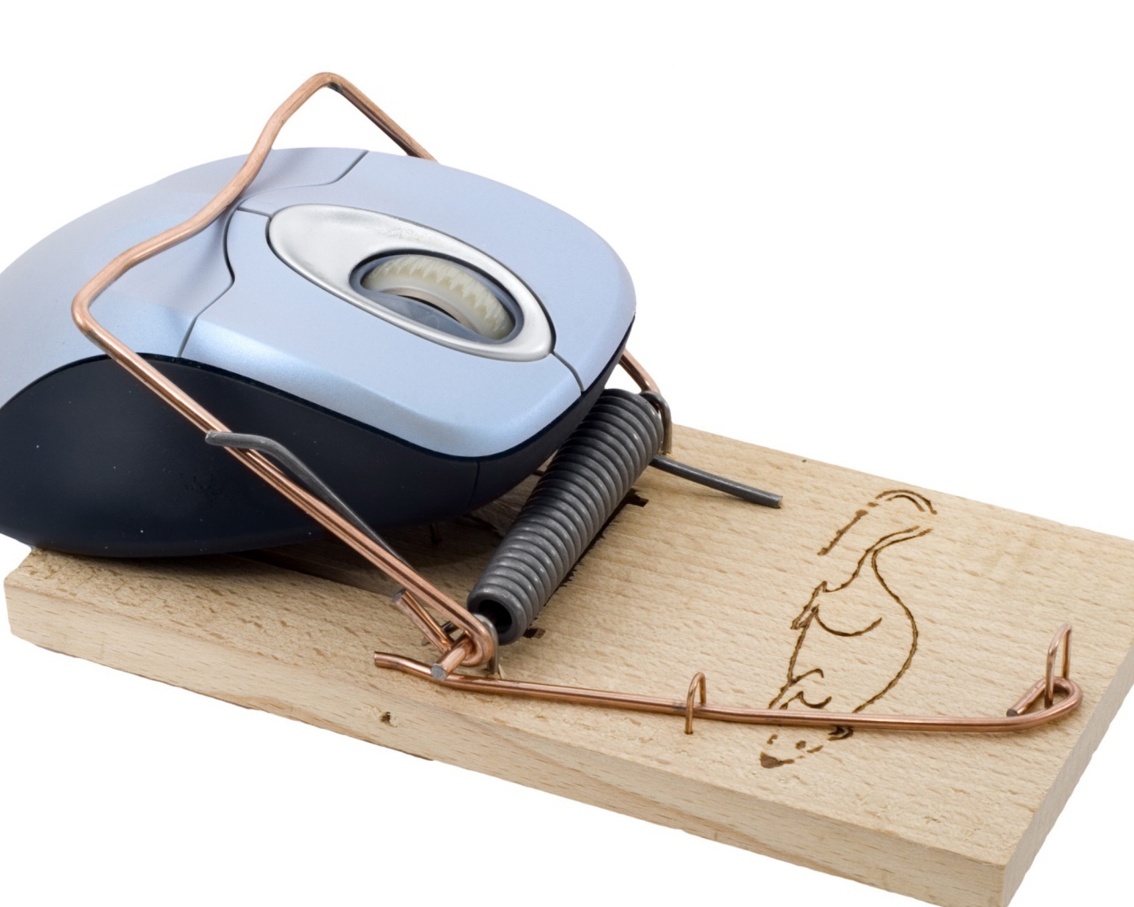 Мышка попалась