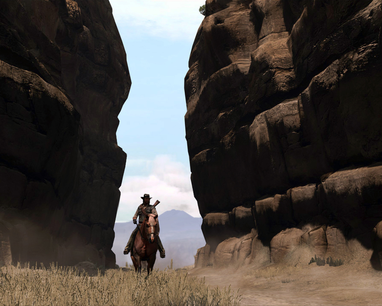 Всадник из видео игры