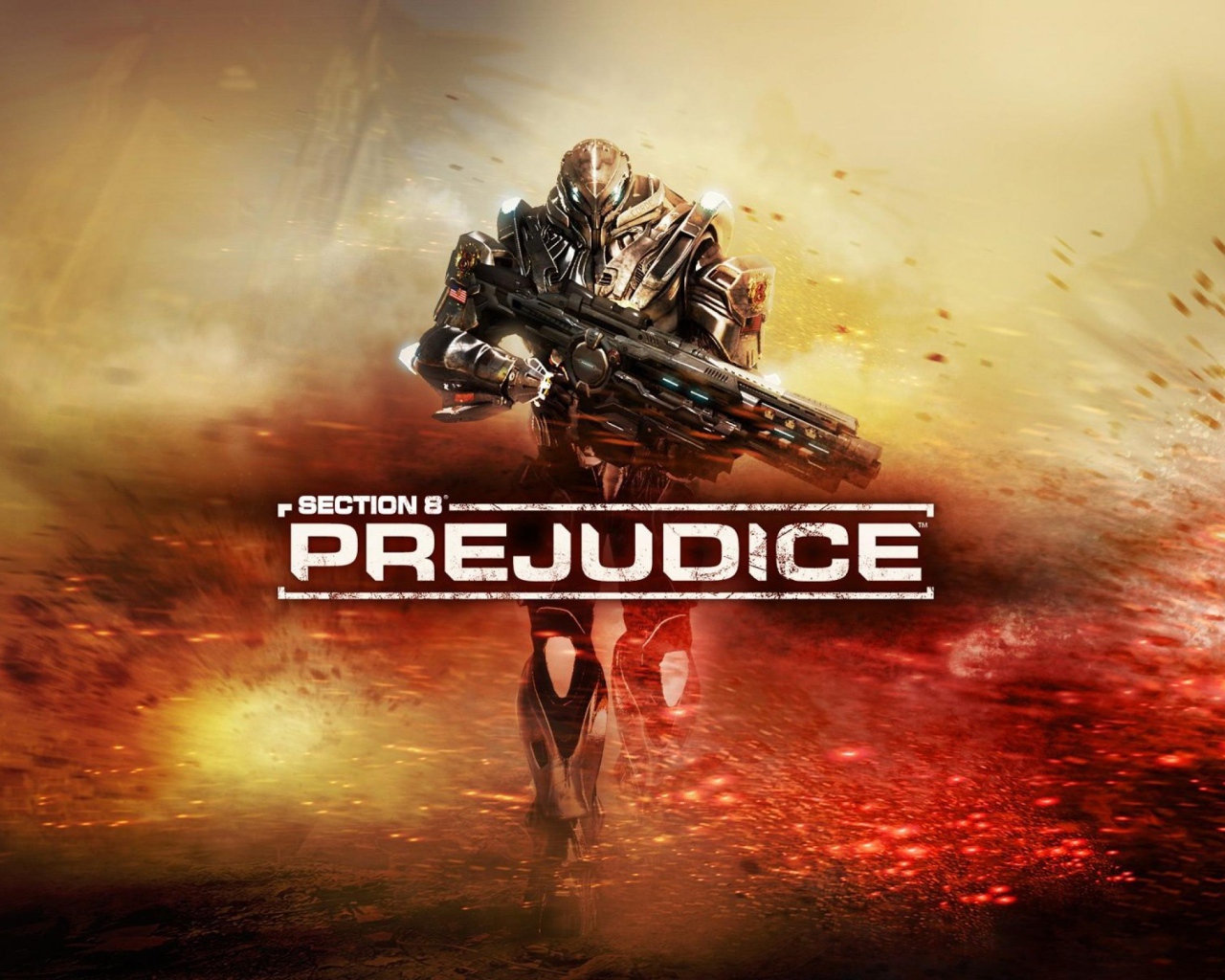 Section 8 Prejudice