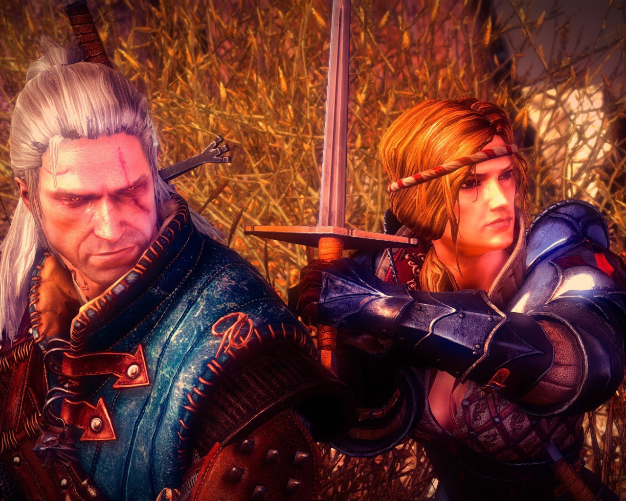 Видео игра Ведьмак 2