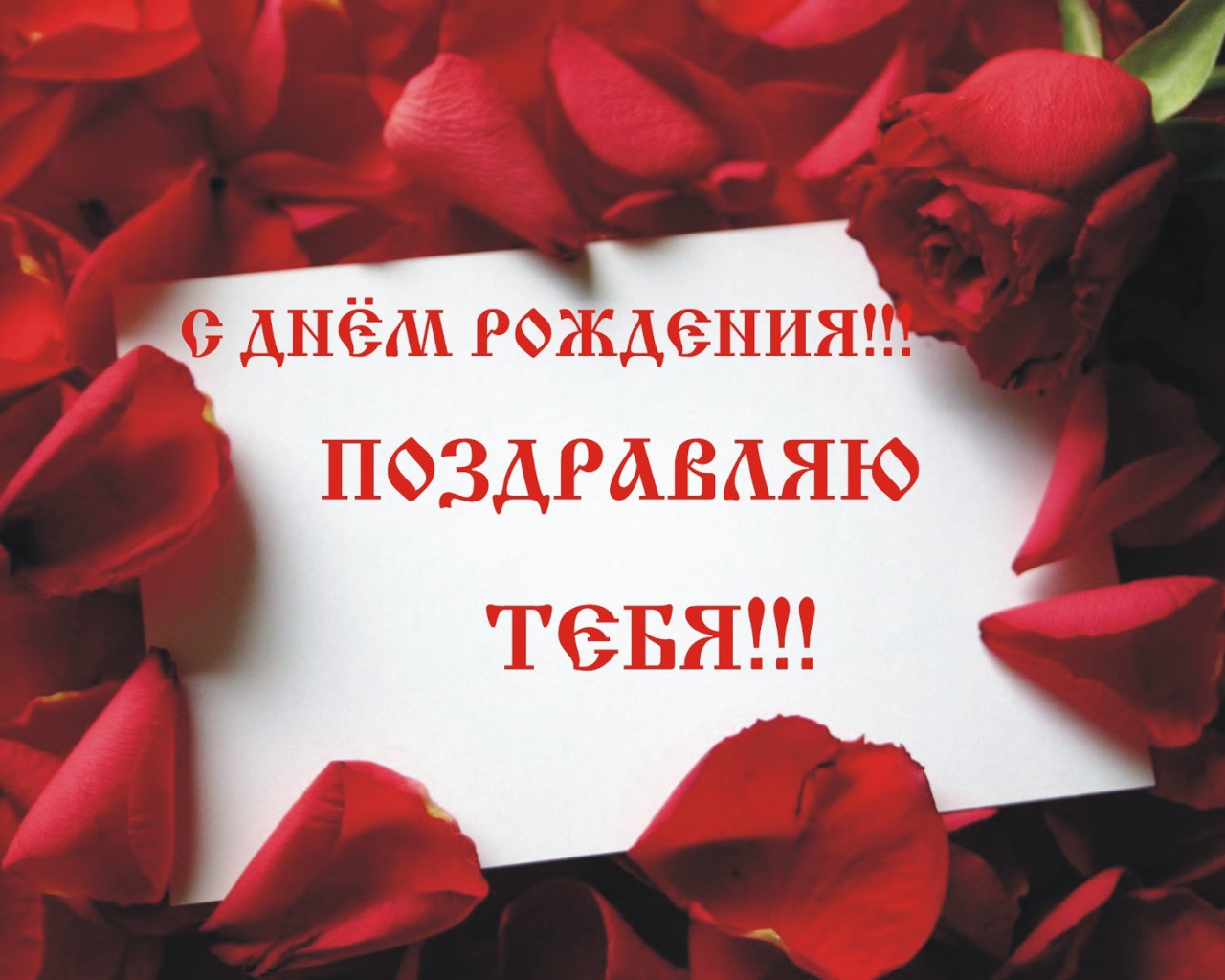 Лепестки роз на день рождения