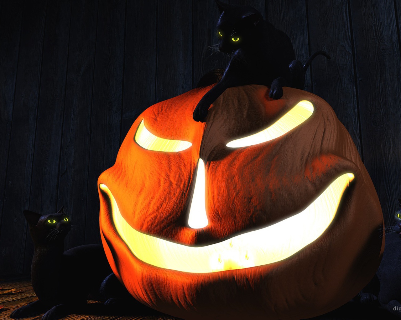 Три черных кота