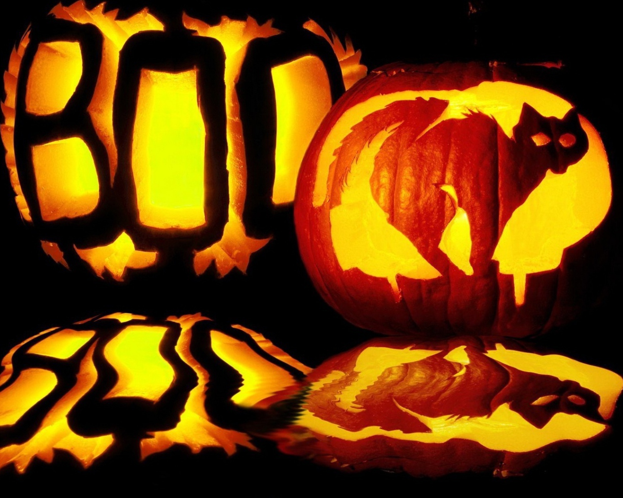 Хэллоуин испуганный кот