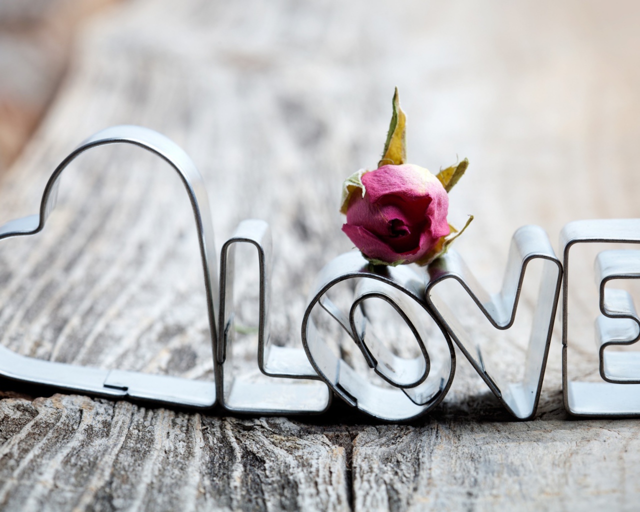 Цветок и любовь