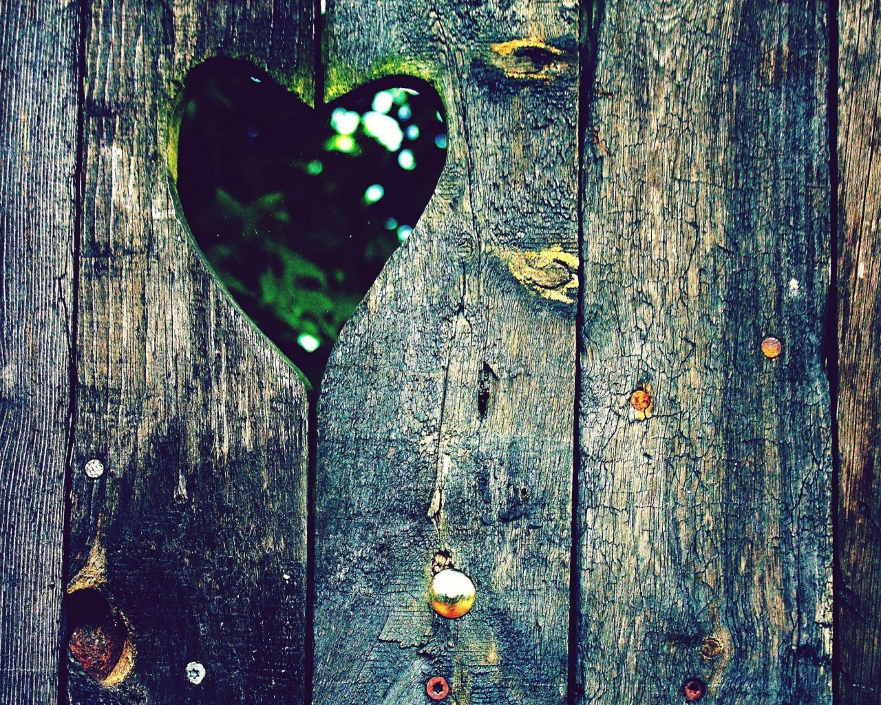 Сердце в заборе