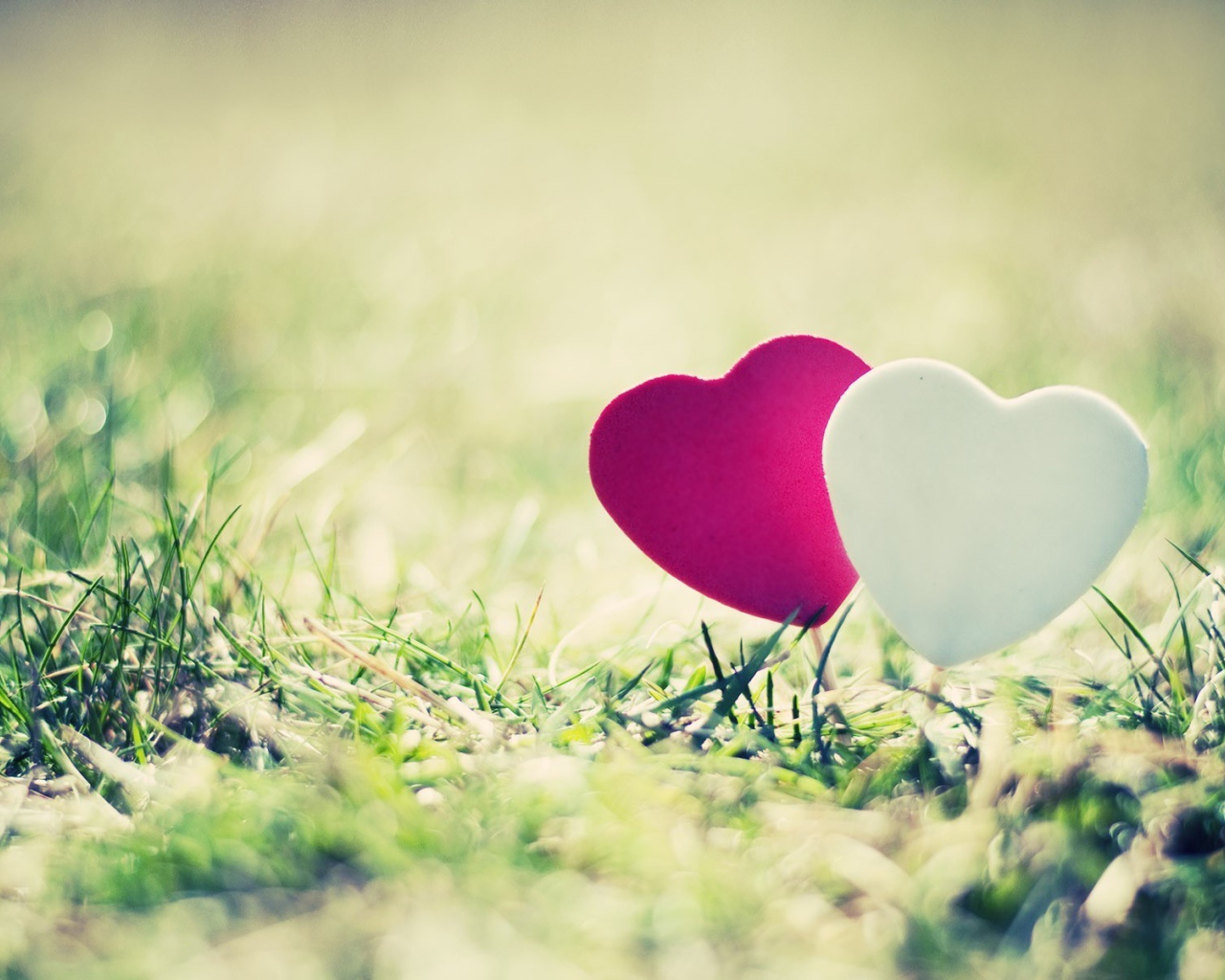 Два сердечка на траве
