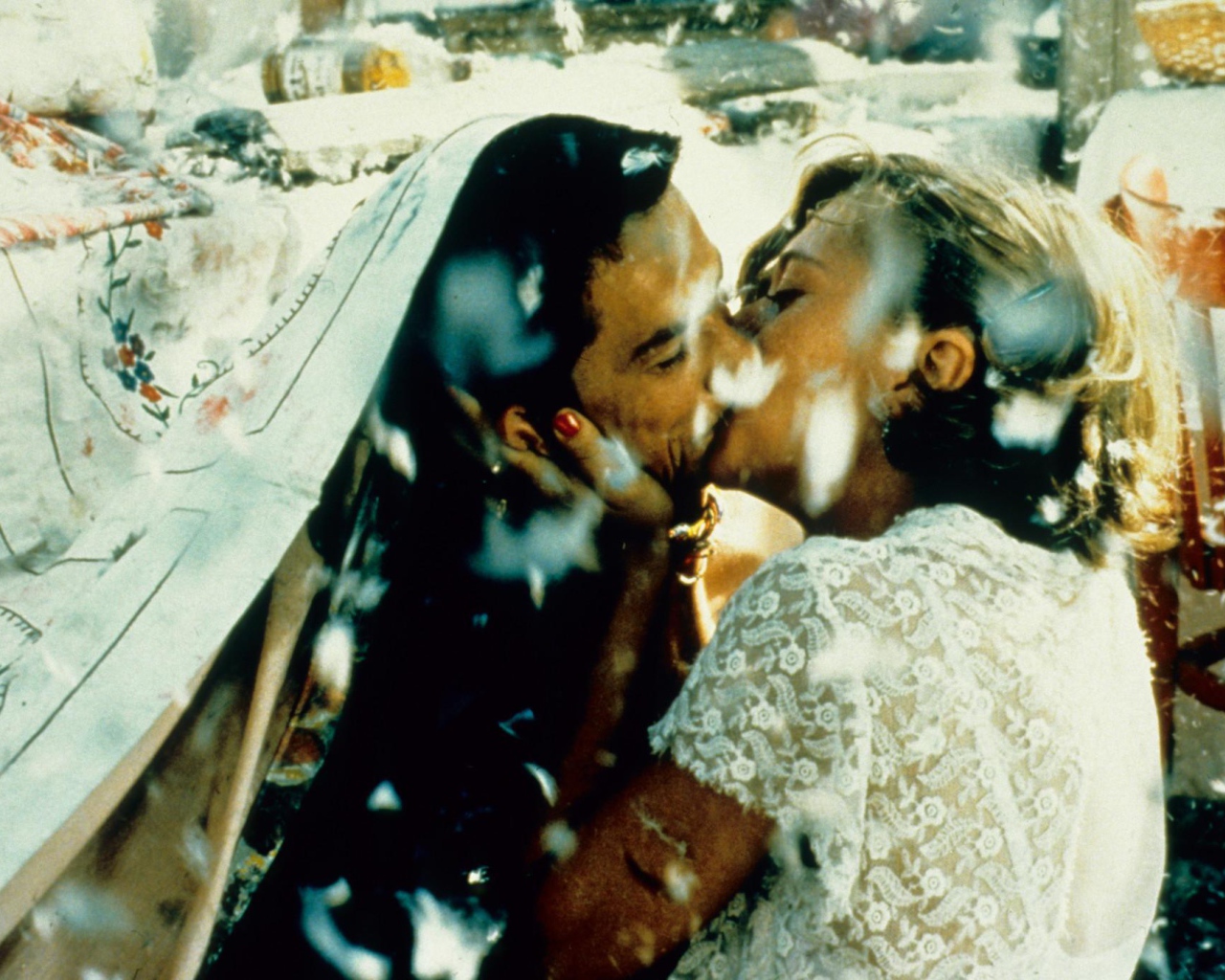 Чёрная кошка, белый кот