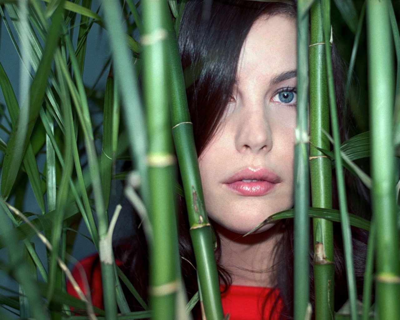 Liv Tyler in bamboo