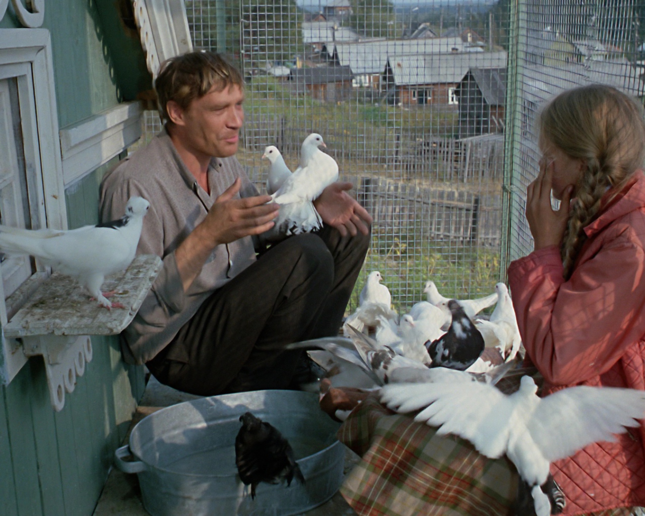 Любовь и голуби