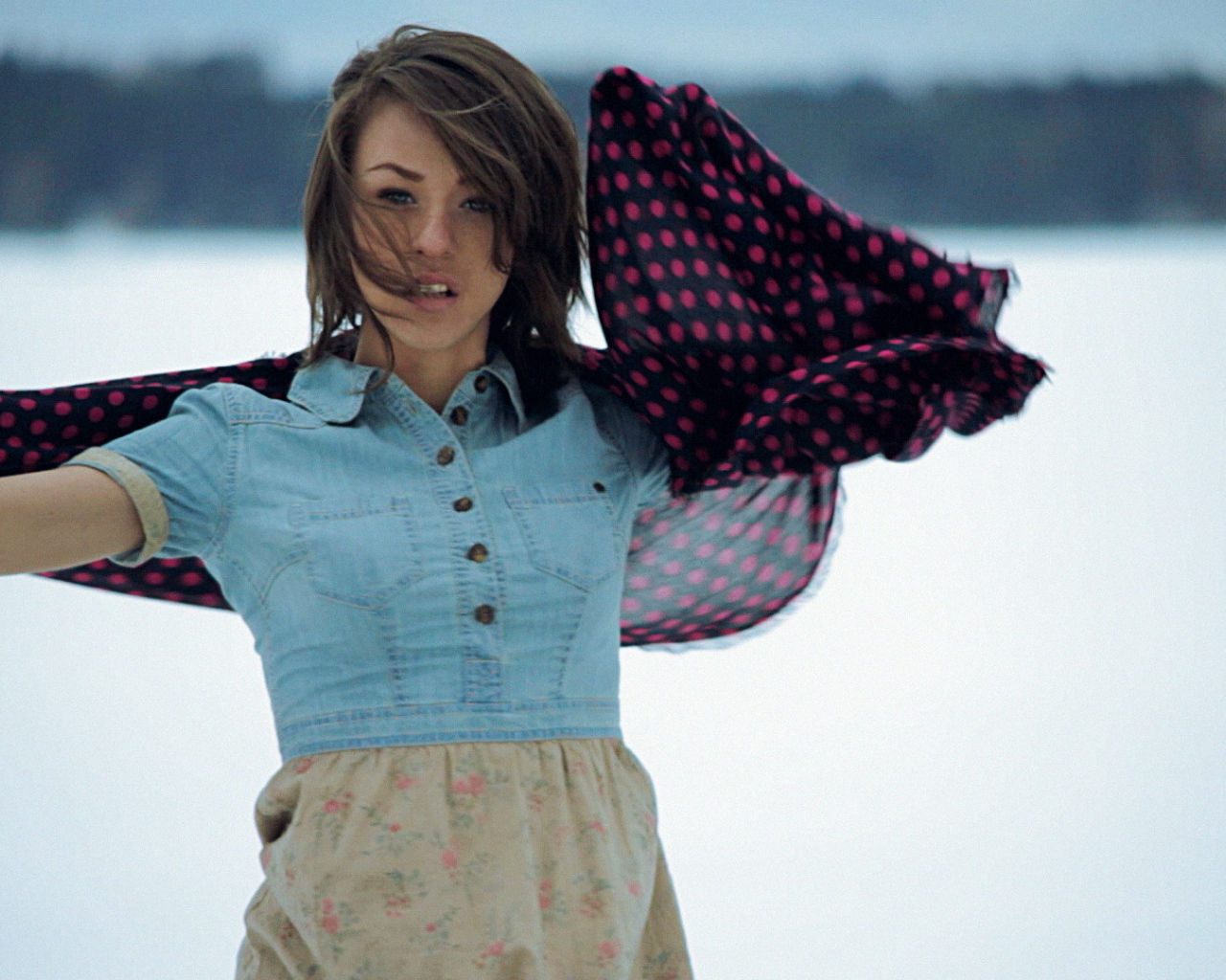 Iowa на фоне снега