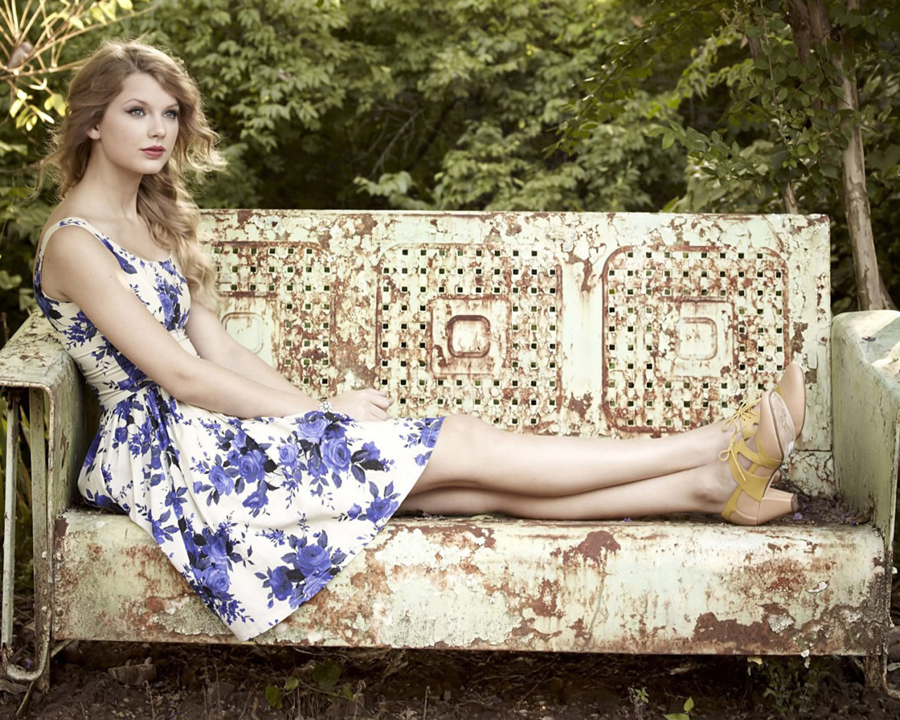 Taylor Swift на старой скамейке