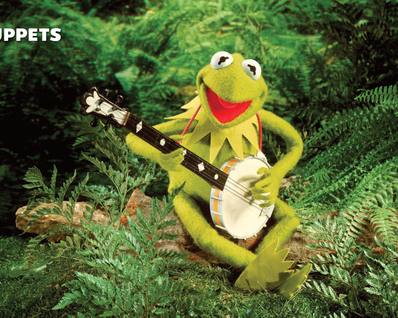 Лягушка с банджо