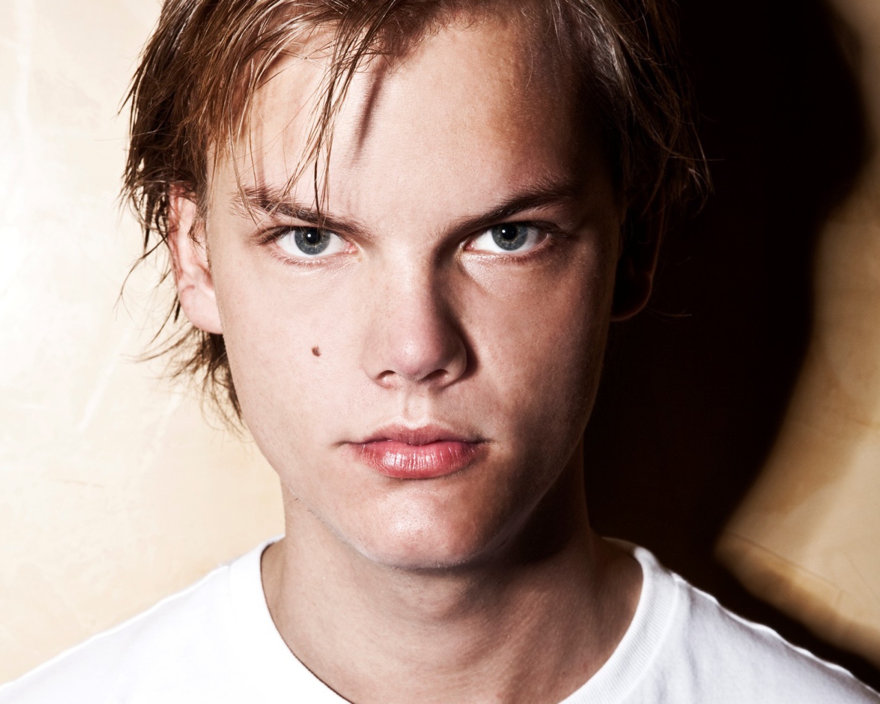 Лучший ди-джей Avicii