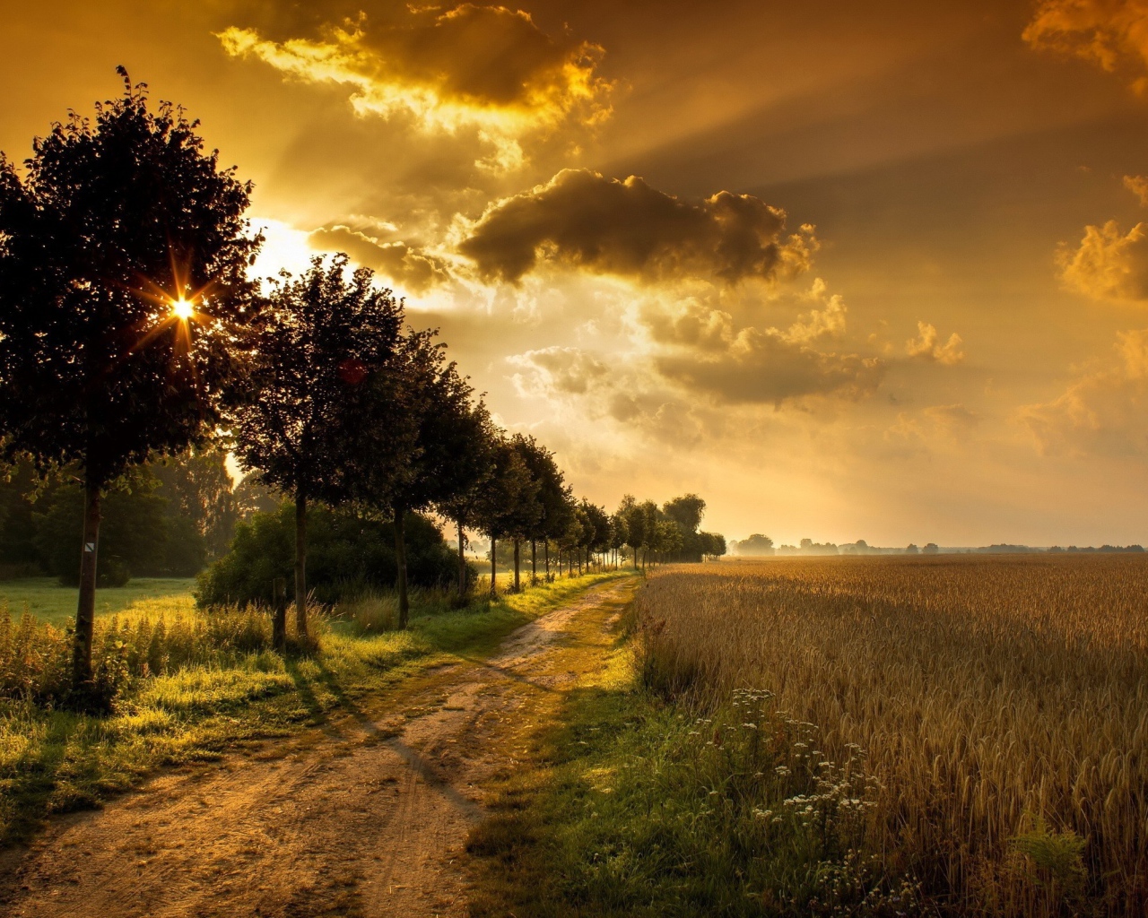 Дорога у поля