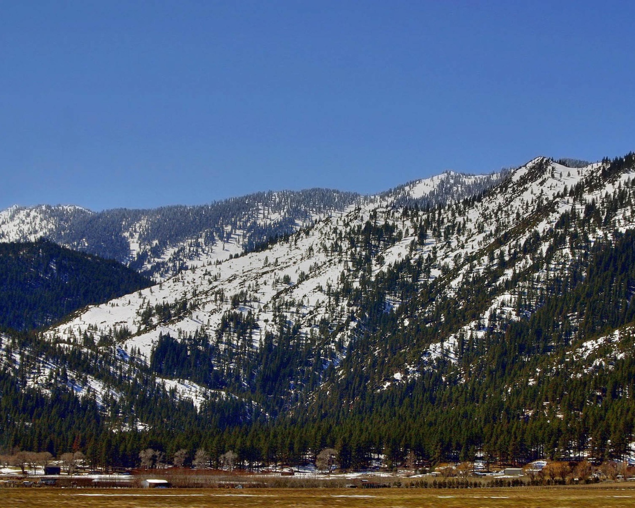 Горные защитники